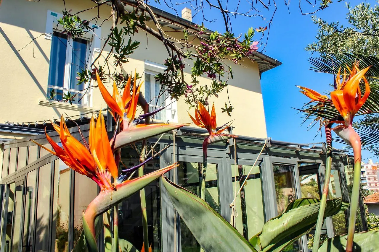 B&B Villa Du Roc Fleuri Cannes